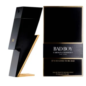 Bad Boy 100 ml EDT